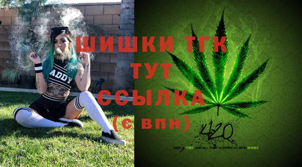 спиды Кинешма