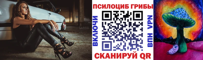 Купить где  Заинск  Псилоцибиновые грибы ЛСД 